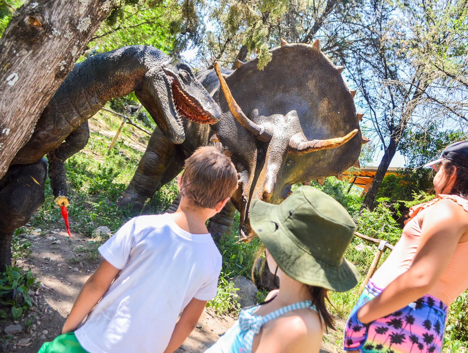 Explora - Hotel Nor Tomarza