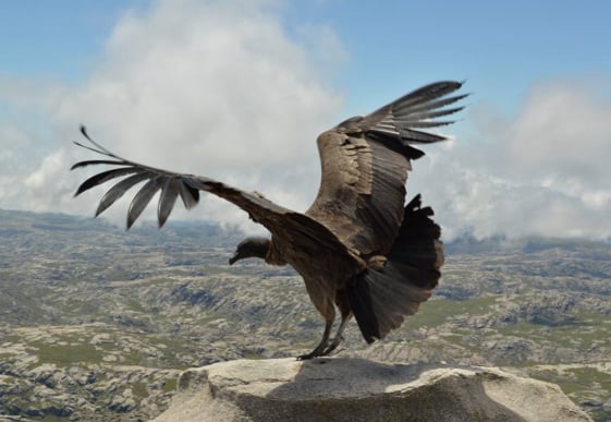 Explora - Hotel Nor Tomarza