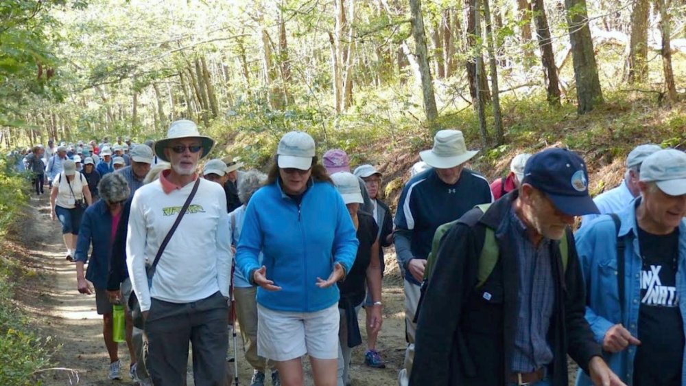 Grupos Hotel Nor Tomarza